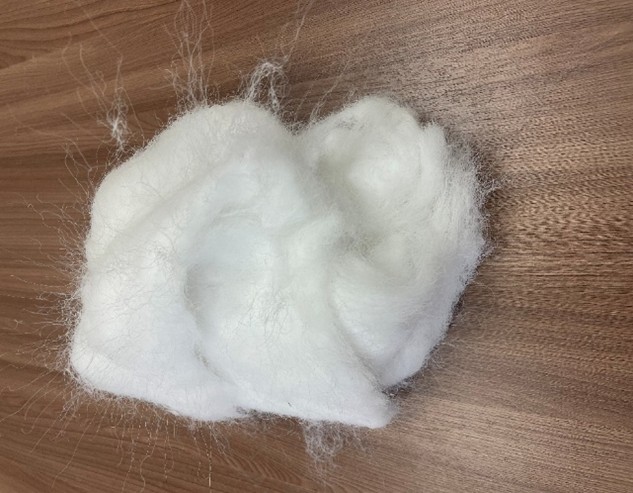 glubin_1.jpg